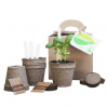 KIT DE SEMILLAS GOURMET - Imagen 4