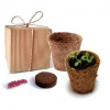 KIT DE SEMILLAS GOURMET - Imagen 2