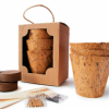 KIT DE SEMILLAS GOURMET - Imagen 5